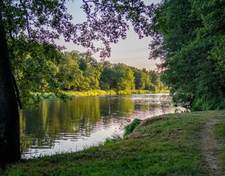 Санаторий "Русский лес"