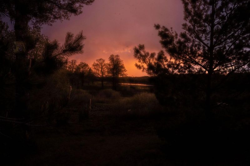 Санаторий "Русский лес"