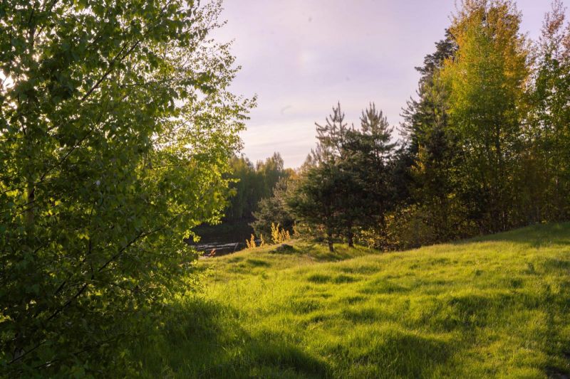 Санаторий "Русский лес"
