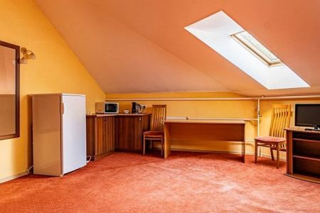 Семейный 4-местный 3-комнатный Мансарда